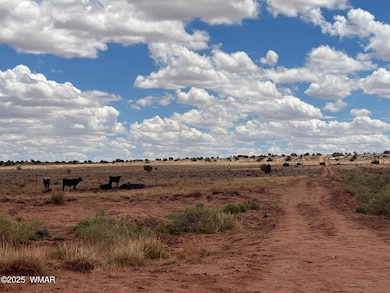 8400 N Terry Trail, Snowflake, AZ 85937 - photo 6