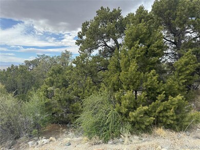 338 Cedar Ridge Rd, Mosca, CO 81146 - photo 4