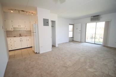 150 E Lake St unit 5A, Elmhurst, IL 60126 - photo 6
