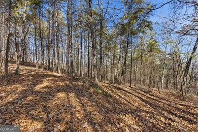 1166 Hunter Dr, Ranger, GA 30734 - photo 7