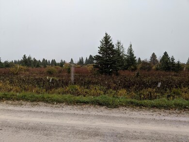 Vacant Land