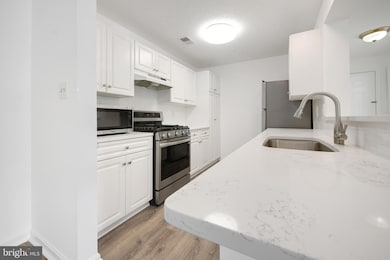 10007 Vanderbilt Cir unit 7, Rockville, MD 20850 - photo 4