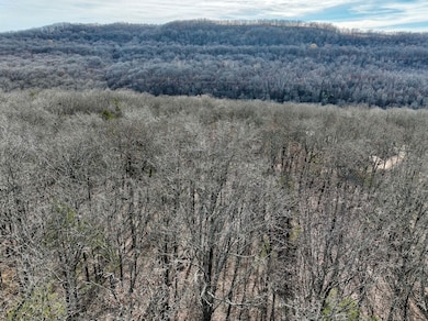 Tbd Old Cabin Rd Lot unit WP001, Winslow, AR 72959 - photo 3