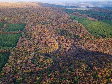 000 Cr 212, Clinton, AR 72031 - photo 5