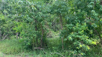 0 County Road 429, Brazoria, TX 77422 - photo 3