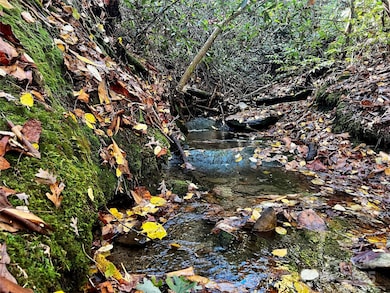 TBD Old Toxaway Rd, Brevard, NC 28712 - photo 5