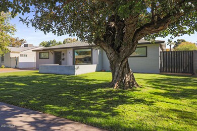 large grassy yard w/ rv gate