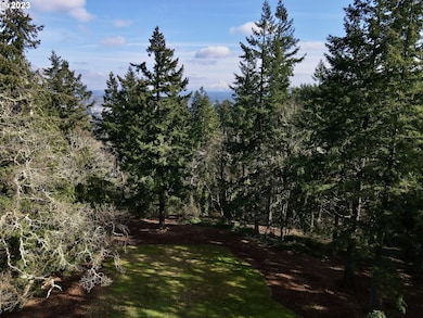 1384 Celtic Ct, Westlinn, OR 97068 - photo 4