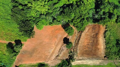 X Calle Los Cipreses Bo Pueblo Moca P R, Moca, PR 00676 - photo 2