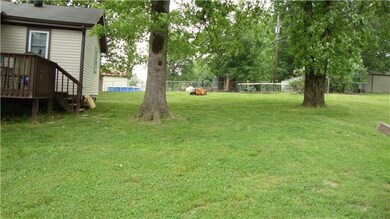 Back yard