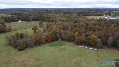 13.9 Acres County Road 429, Fyffe, AL 35971 - photo 4