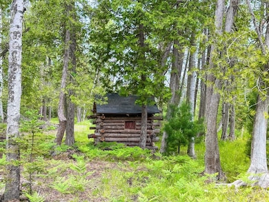 Piper Rd, Ossineke, MI 49766 - photo 7