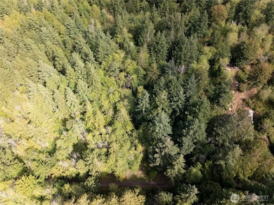 0 E Passage View Rd unit NWM2457101, Shelton, WA 98584 - photo 3