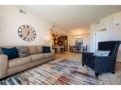 804 Summer Hawk Dr unit 5104, Longmont, CO 80504 - photo 3