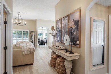 326 Tavernier Dr, Oldsmar, FL 34677 - photo 7