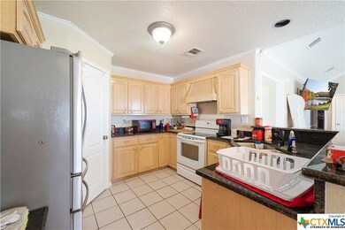 256 County Road 453, Troy, TX 76579 - photo 4