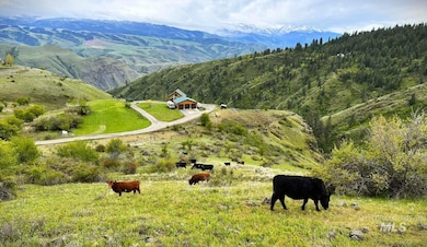 101 Meadow View Ln, White Bird, ID 83554 - photo 4