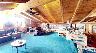 295 Pine Hill Rd, Fence Lake, NM 87315 - photo 7