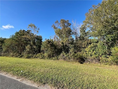 Lot 21 C-2 Louisiana 46, St. Bernard, LA 70085 - photo 6