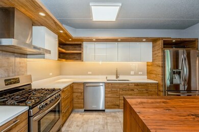 1325 Perry St unit 501, Des Plaines, IL 60016 - photo 6