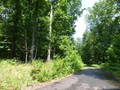 Continuing down the road on the left.