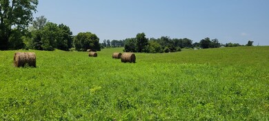 10.99 AC Eckles Cemetery Rd, Livingston, TN 38570 - photo 5