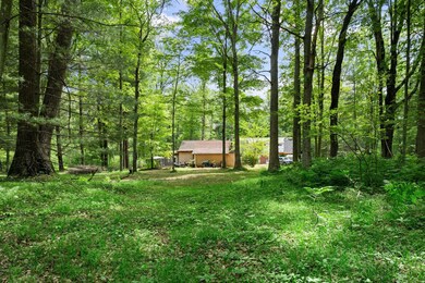 13098 Bucktrail N, Bitely, MI 49309 - photo 4