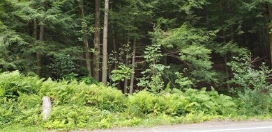 0 Swanzey Lake Rd, Swanzey, NH 03446 - photo 3