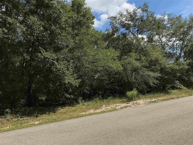 XX Bay Pine Dr, Crawfordville, FL 32327 - photo 2