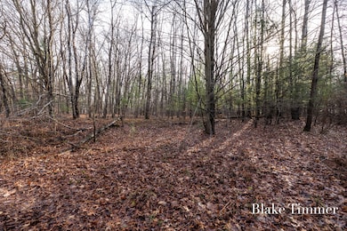 0 E 88th St unit 25061606, Newaygo, MI 49337 - photo 4