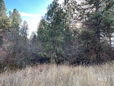 L129 Par Dr, Cascade, ID 83611 - photo 3