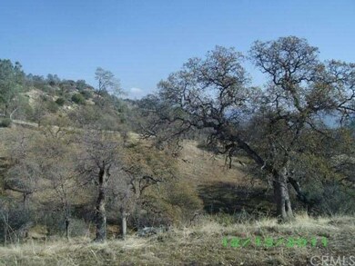 LOTS OF OAK TREES