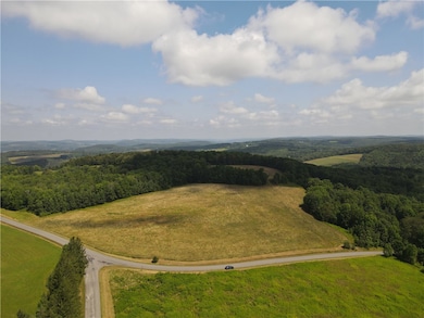 0 Ramey Rd, New Lisbon, NY 13411 - photo 2