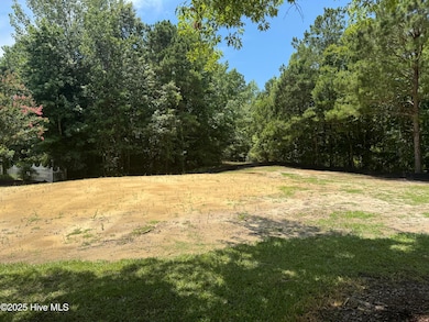 48 Megan Loop N, Hertford, NC 27944 - photo 3