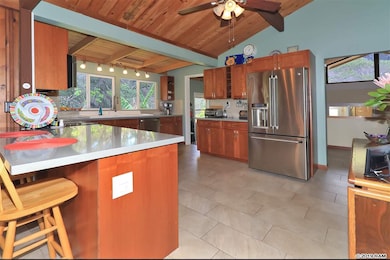 113 Ehu Iki Place, Makawao, HI 96768 - photo 7