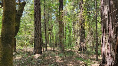 0 Pleasant Cr Rd unit 502,1200,1000,1100, Rogue River, OR 97537 - photo 2