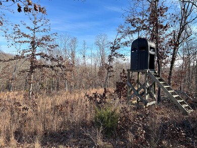 000 Berry Rd, Cabool, MO 65689 - photo 7