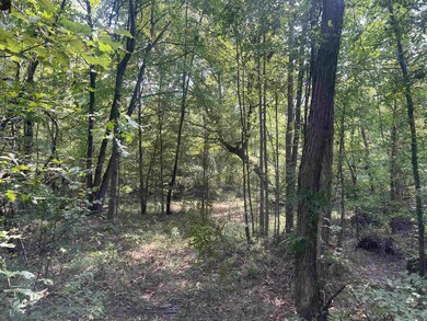 00 Lambert Rd, Wilmar, AR 71675 - photo 2