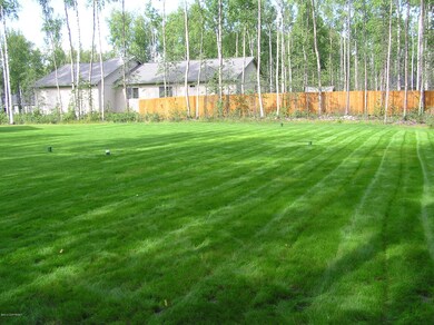 Lush Back Yard