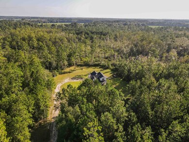 3193 Old Thomasville Rd, Dixie, GA 31629 - photo 5