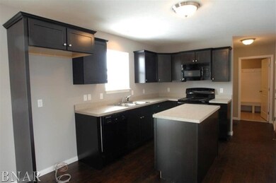 125 N Gadwall Ln, Downs, IL 61736 - photo 4