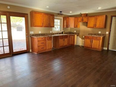 16929 Chalk Bluff Trail, Dexter, MO 63841 - photo 5