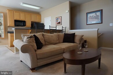 315A Red Head Way unit 61, Havre de Grace, MD 21078 - photo 6