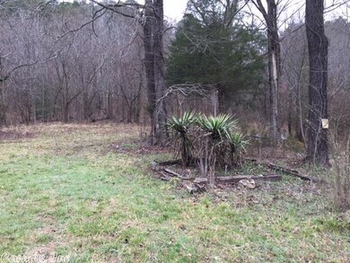 2335 Polk Road 61, Mena, AR 71953 - photo 5