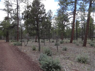 Muzral Richardson Lane (15)