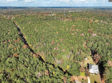 0 Woodthrush Rd, Chapin, SC 29036 - photo 7