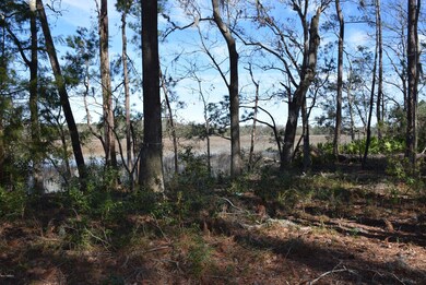 Cordgrass Loop 010