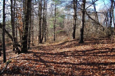 274 Pond St, Dunstable, MA 01827 - photo 4