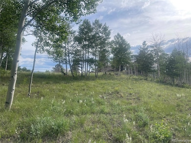 171 Emerald Way, Lake George, CO 80827 - photo 2