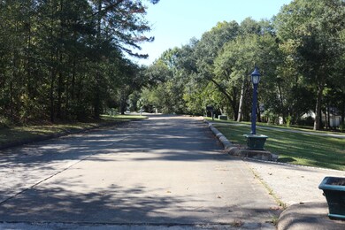 TBD Lake Oaks Blvd, Coldspring, TX 77331 - photo 4